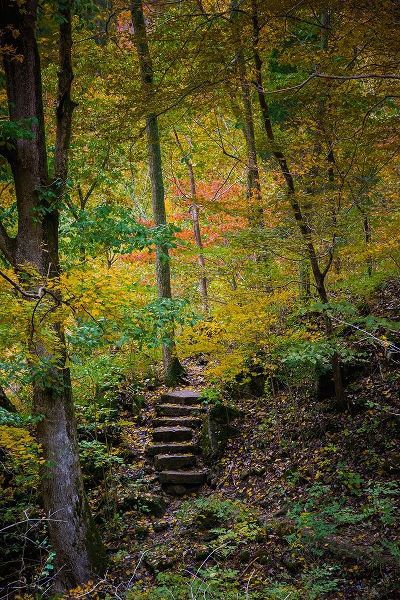 Trail Steps in Clifty Creek Park-Southern Indiana